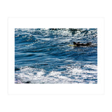Forward (Print Only) thumbnail
