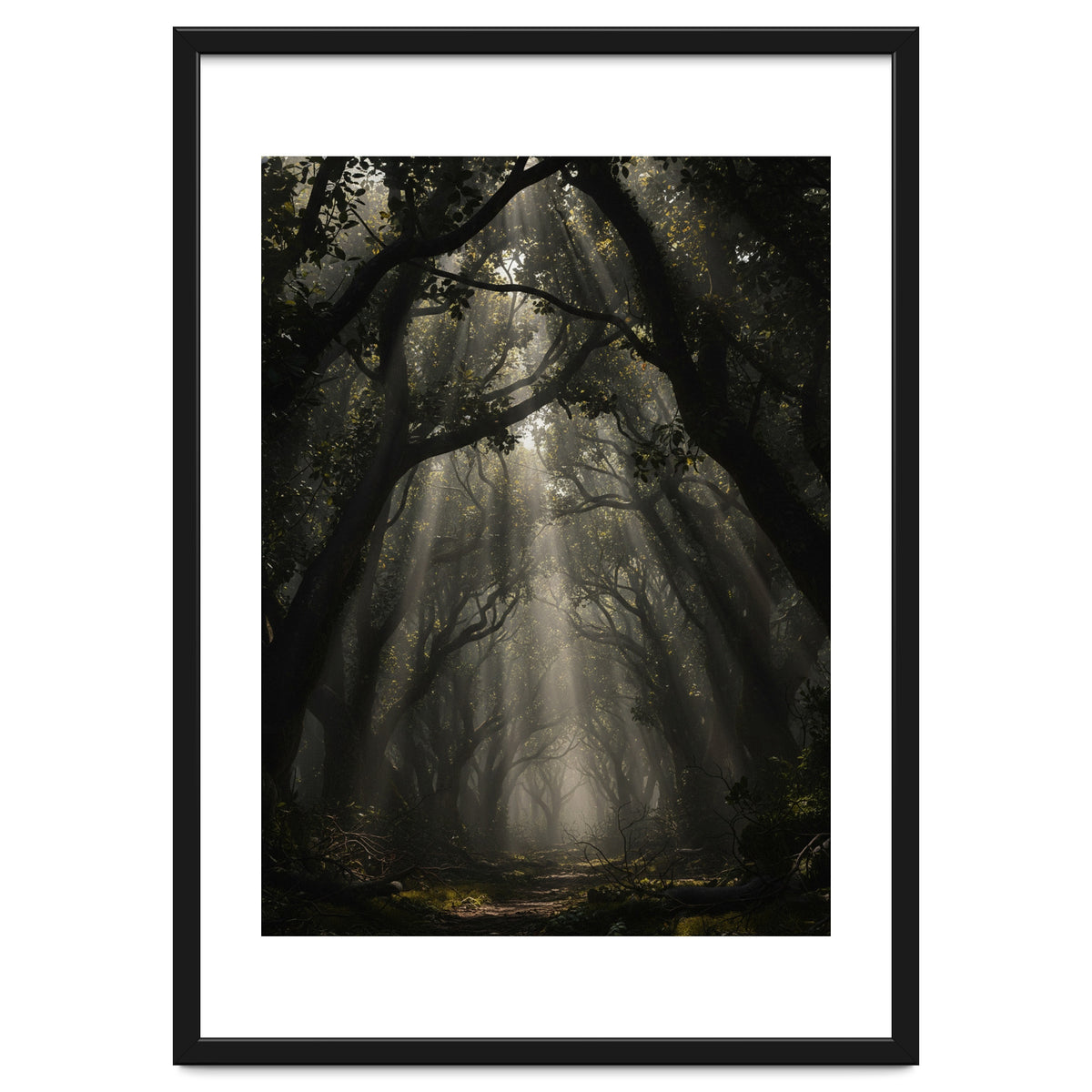 Enchanted Canopy: Mystical Forest Path