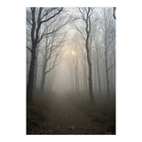 Ethereal Morning Light Breaking Through Dense Forest Fog (Print Only) thumbnail