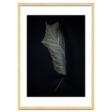 Leaves No 3 Color Version thumbnail