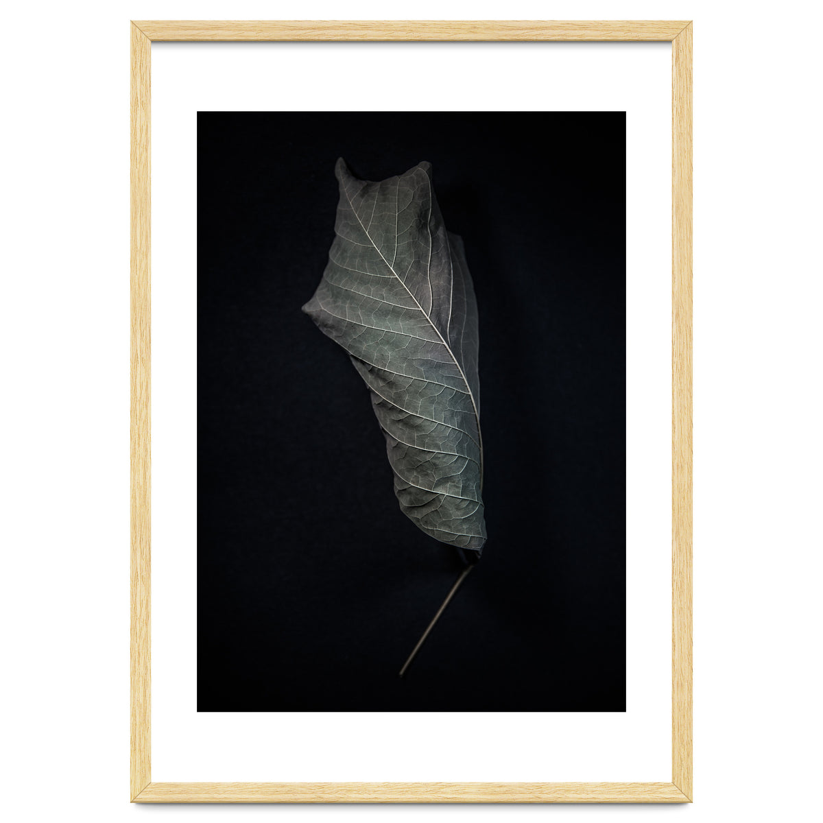 Leaves No 3 Color Version