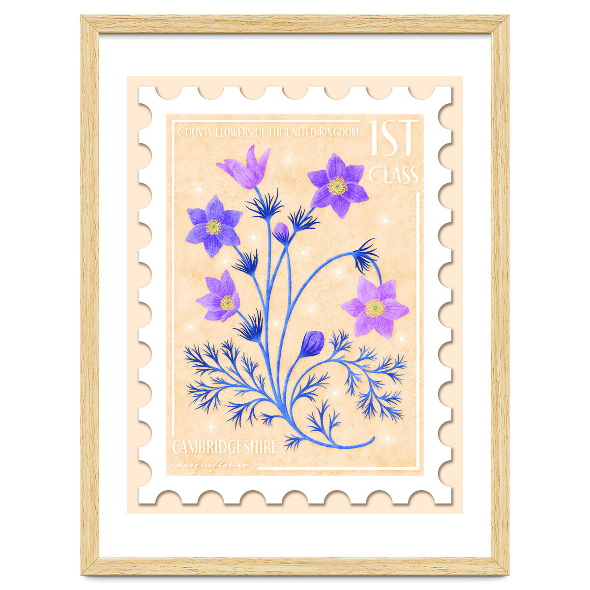 The Cambridgeshire Pasqueflower Postage Stamp