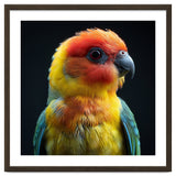 Vibrant Sun Conure Parrot Close Up Portrait thumbnail