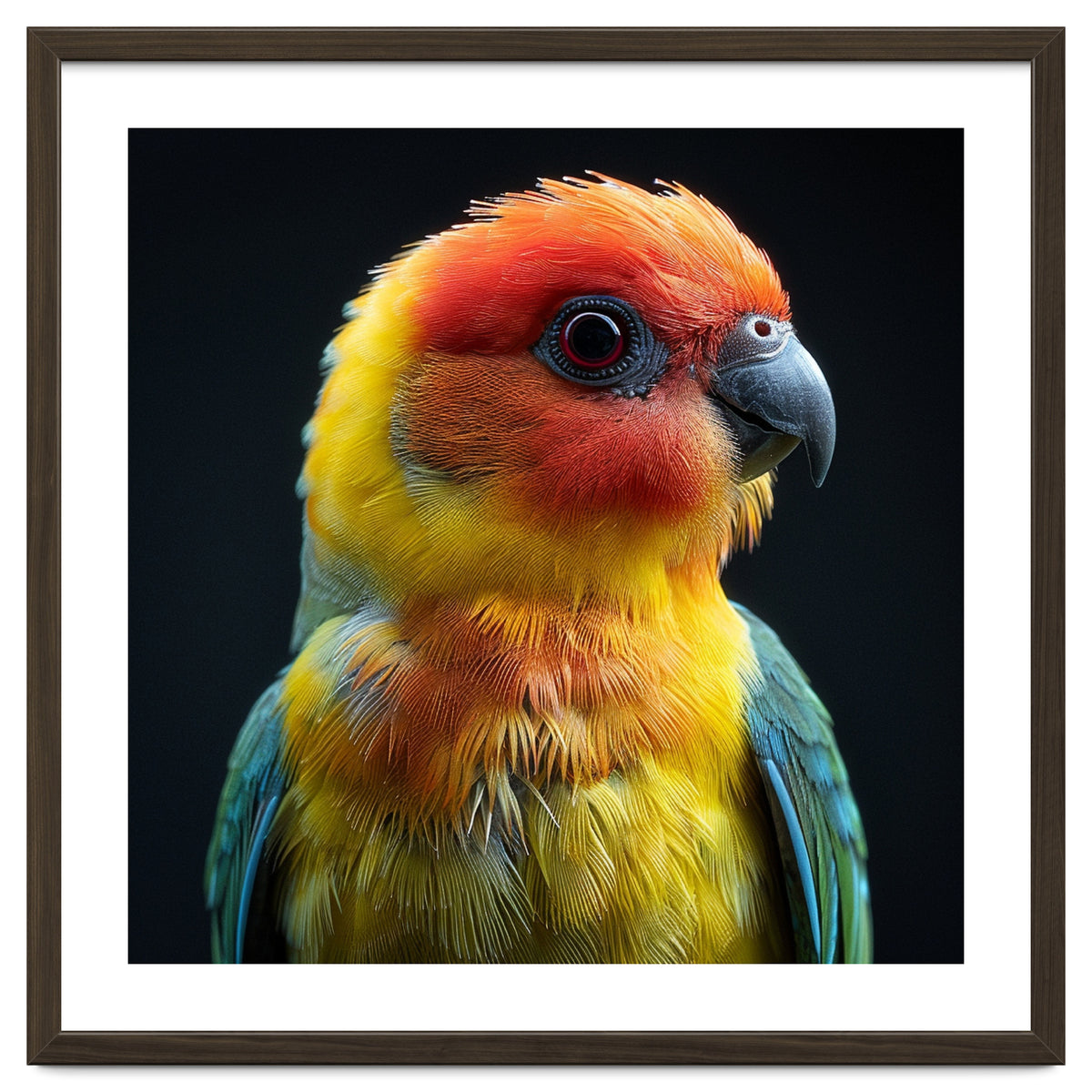 Vibrant Sun Conure Parrot Close Up Portrait