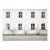 Small trees in between the windows  (Print Only) thumbnail