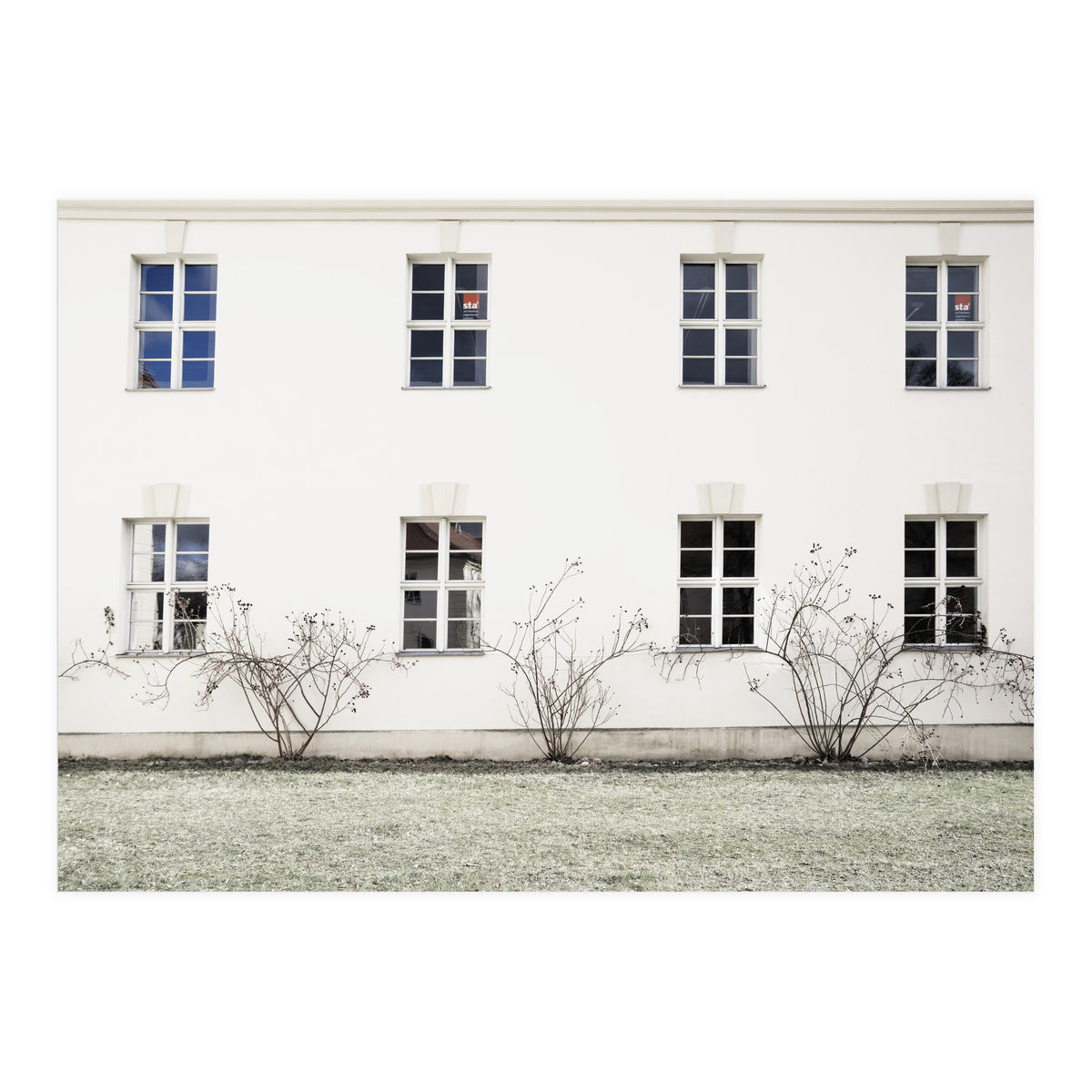 Small trees in between the windows  (Print Only)