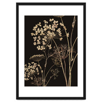 Wildflowers I