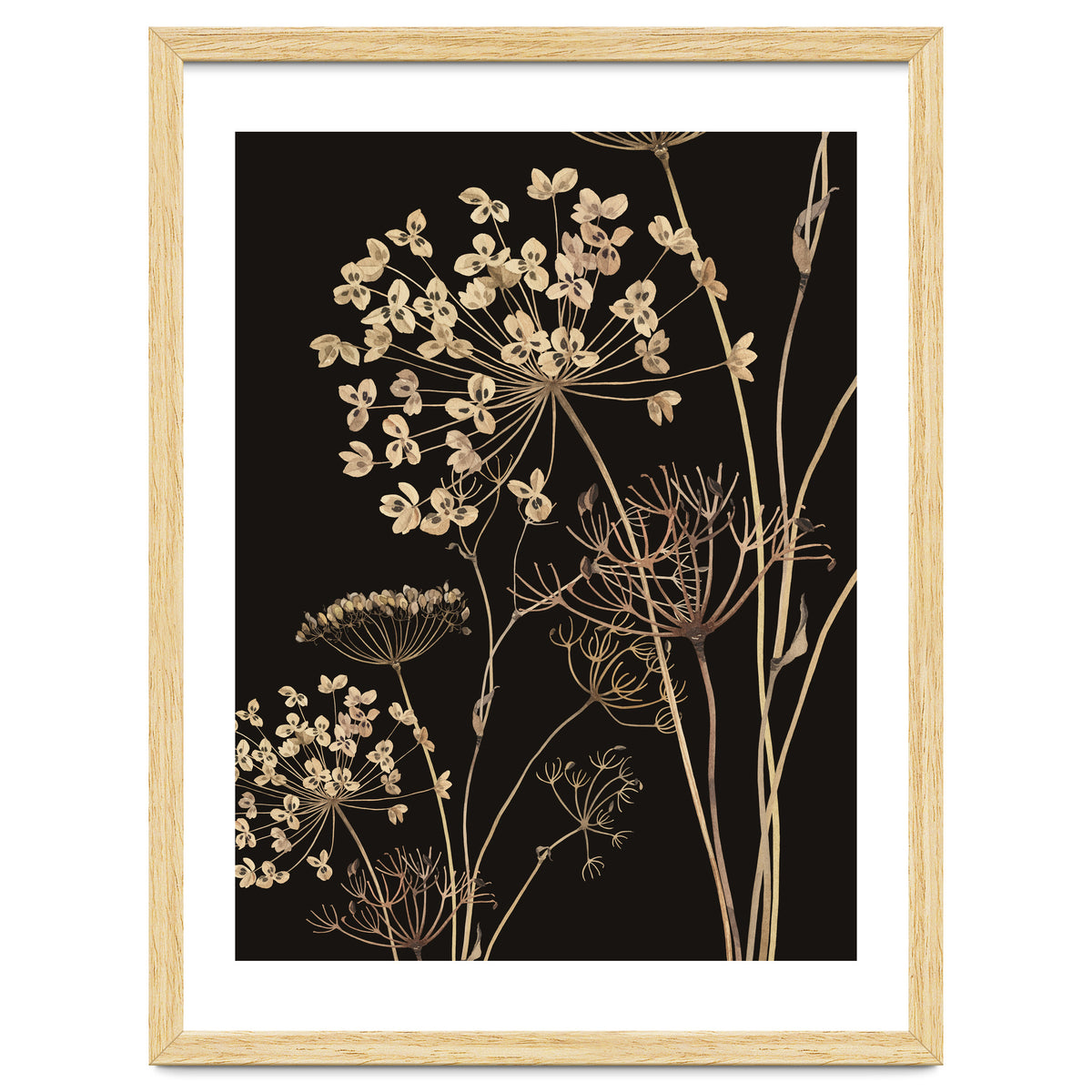 Wildflowers I