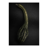 Gourds No 9 Color Version (Print Only)