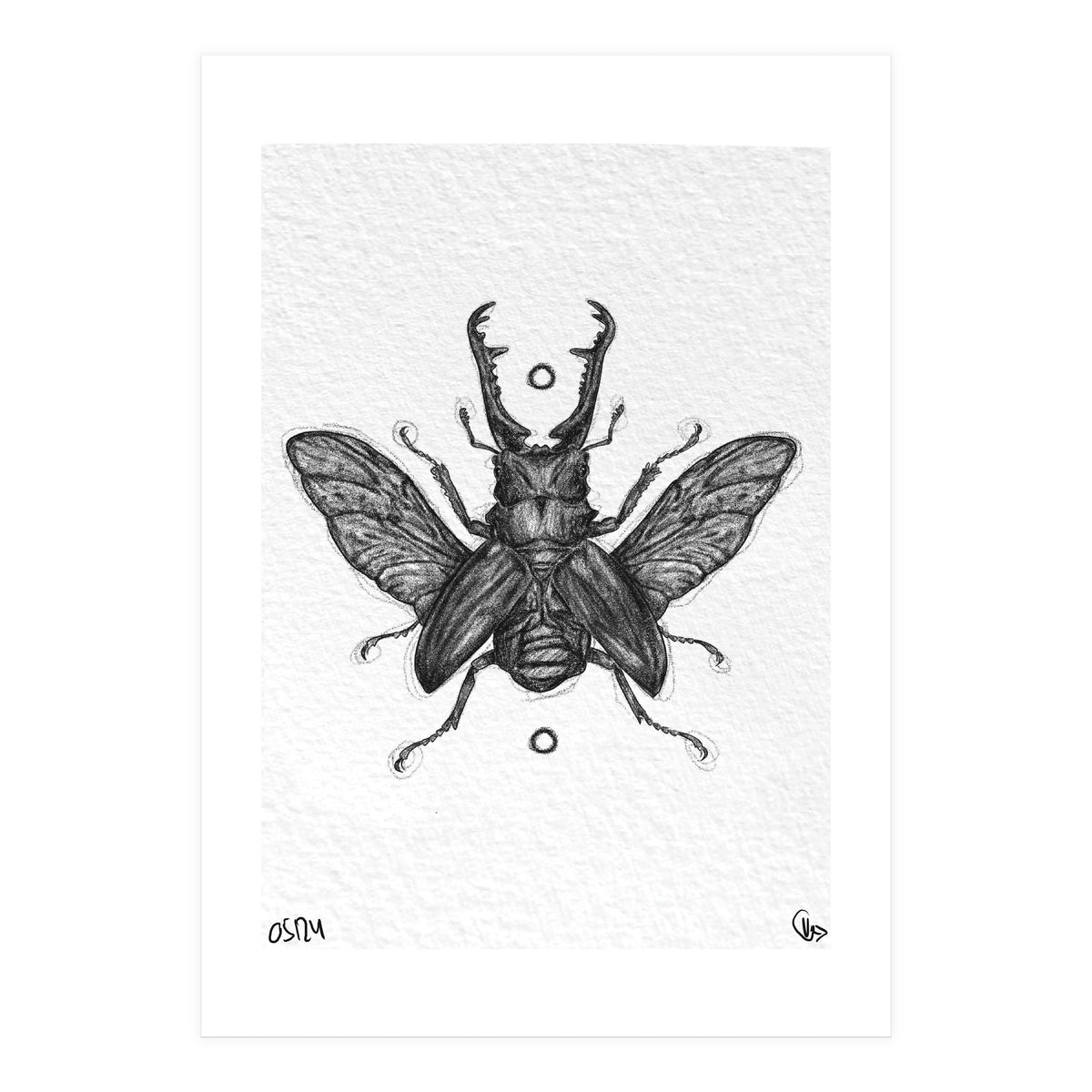 Giraffen Hirschkäfer (Print Only)