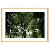 Light bulb among the trees in the summer forest thumbnail