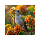 Hummingbird Perched On Orange Flowers (Print Only) thumbnail