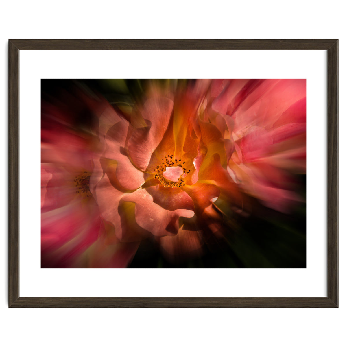 Backyard Flowers No 40 Color Flow Version