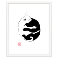 Ying yang Cat