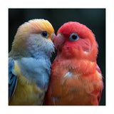 Two Lovebirds Nuzzling Close Up Portrait (Print Only) thumbnail