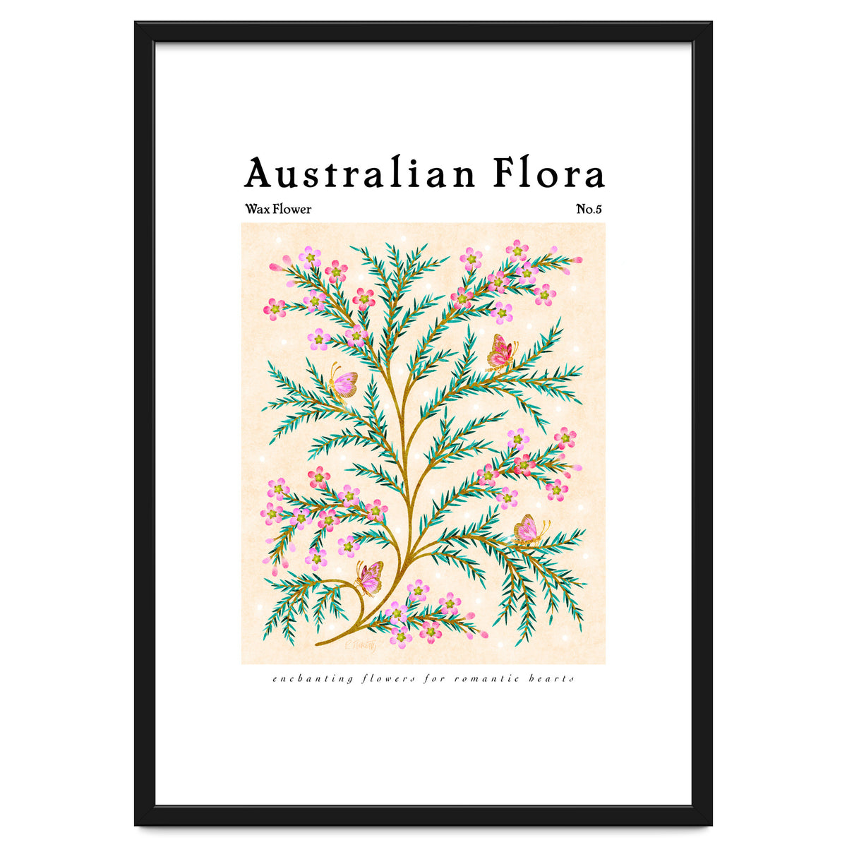 Australian Flora: Wax Flower