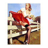 Pinup Girl Stacked On The Farm Fance (Print Only) thumbnail