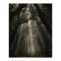Enchanted Canopy: Mystical Forest Path (Print Only)
