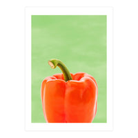 Red Bell Pepper, Fresh Kitchen Art, Capsicum Chilli (Print Only)