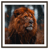 Majestic Lion King Of The Jungle Close Up Portrait thumbnail