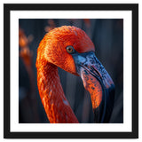 Close Up Flamingo Head Vibrant Orange Plumage thumbnail