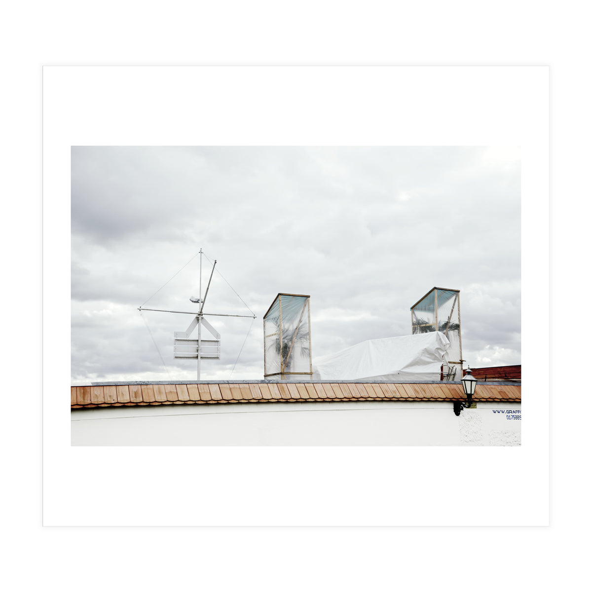 Palm tree waiting for summer (Print Only)