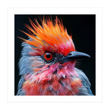 Close Up Of Exotic Bird With Vibrant Plumage (Print Only) thumbnail
