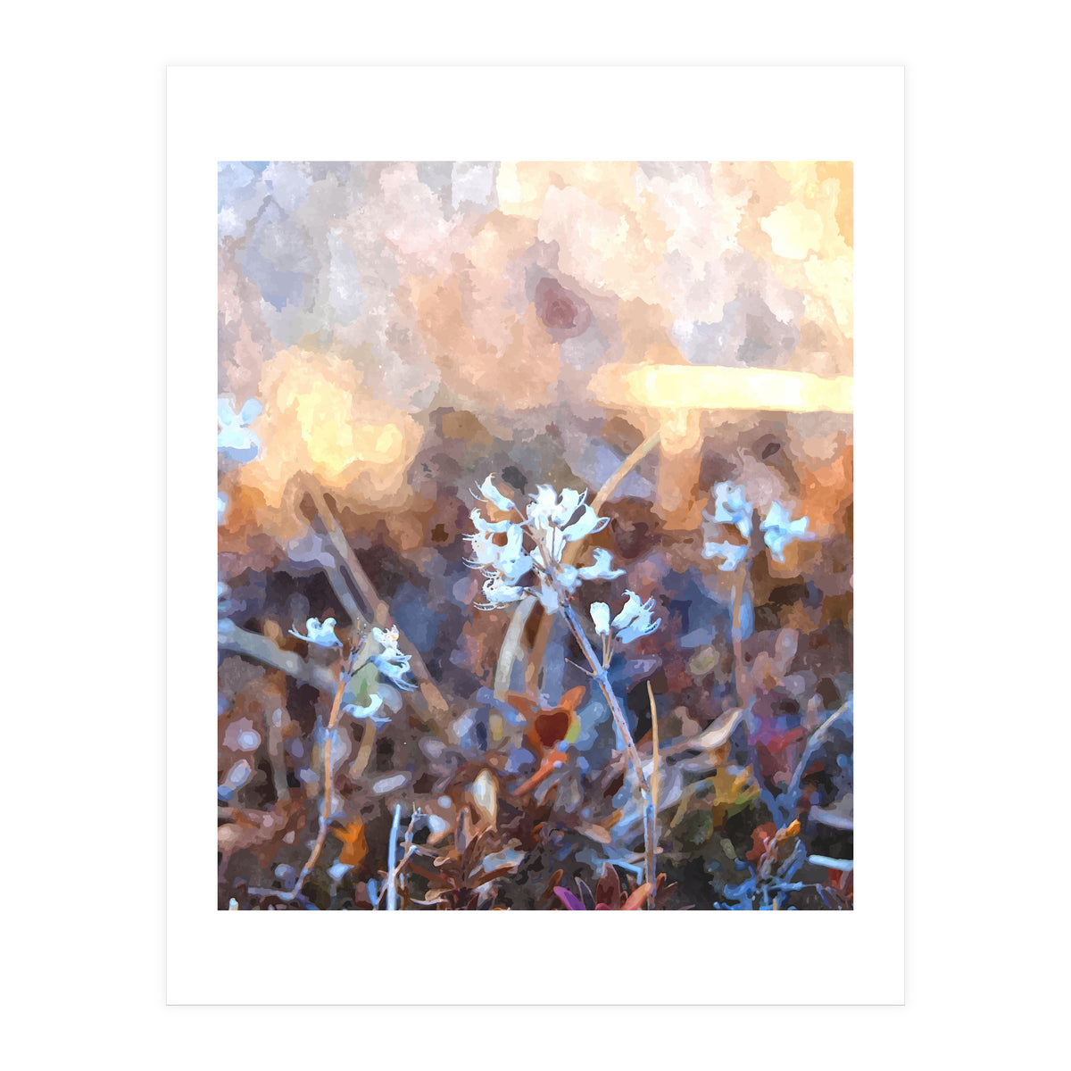 After The Rain (Print Only)