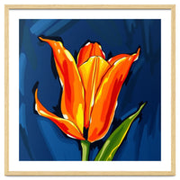 Lily Fresh