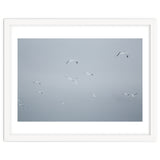 Flying seagulls in the winter sky thumbnail