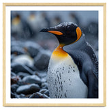 King Penguin Standing In Snowfall Outdoors thumbnail