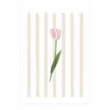 Single Tulip (Print Only) thumbnail
