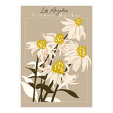 Flower Market Los Angeles Echinacea (Print Only) thumbnail