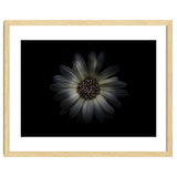 Backyard Flowers No 27 Color Version thumbnail