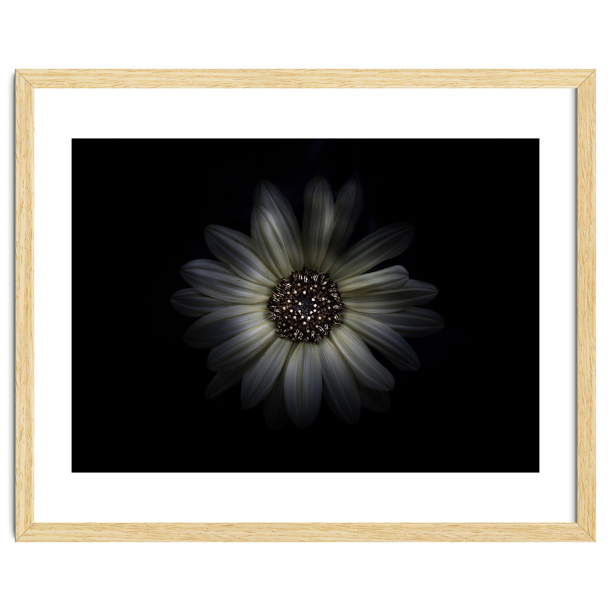 Backyard Flowers No 27 Color Version