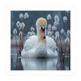 Swan Floating Serene On Calm Water (Print Only) thumbnail