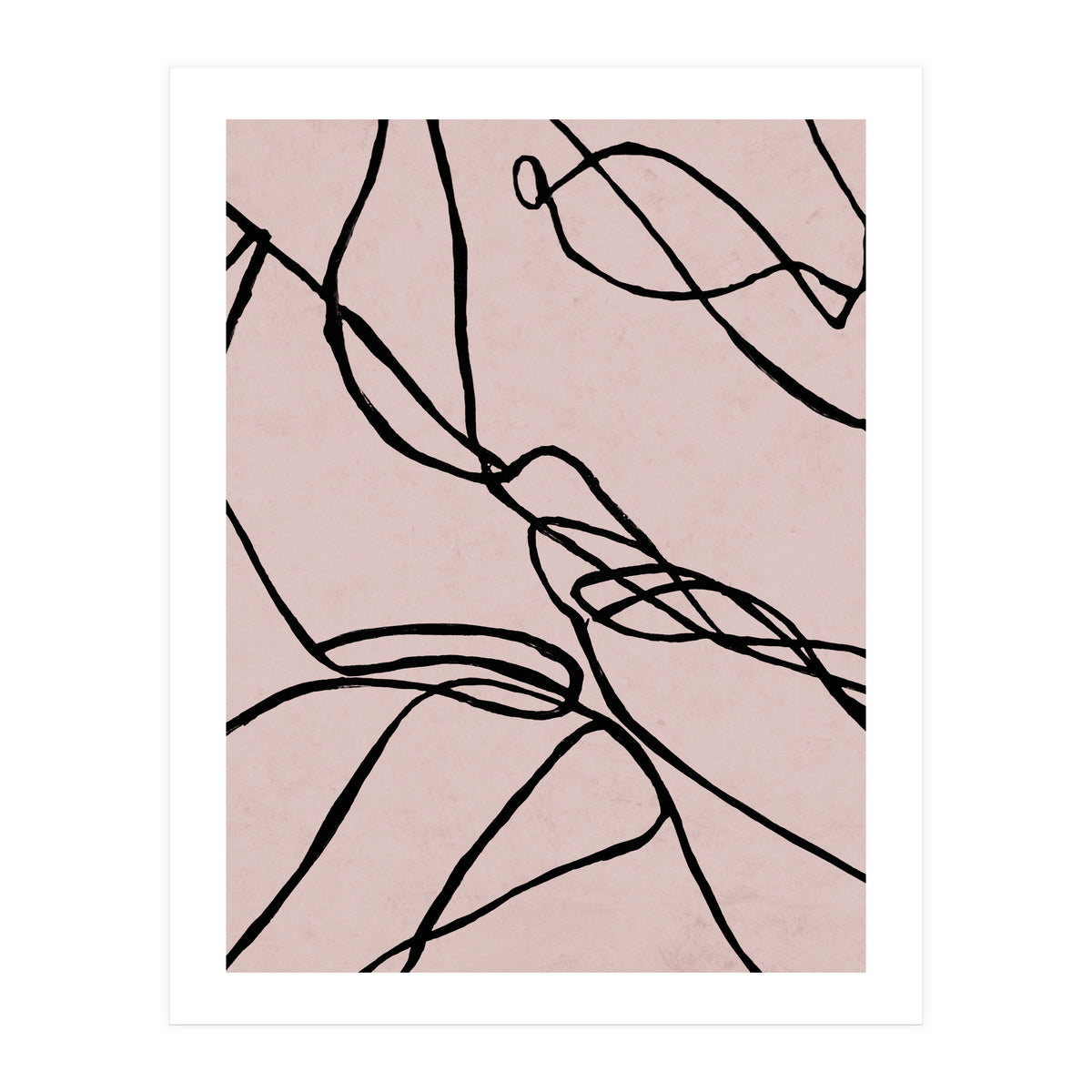 Lines on Rose (Print Only)