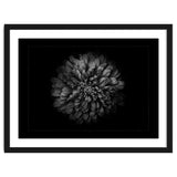 Backyard Flowers In Black And White No 68 with Border thumbnail