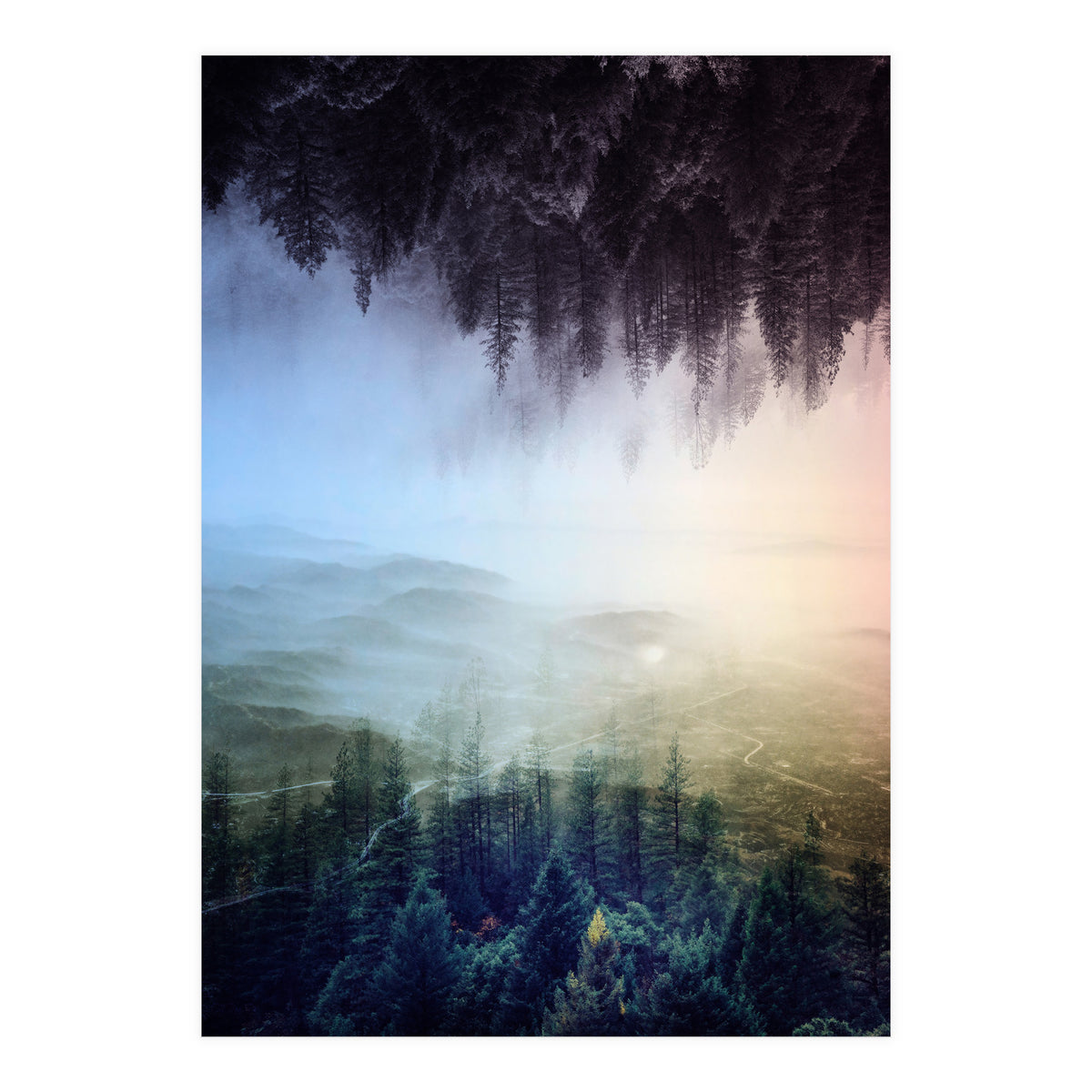 Magic Woods (Print Only)
