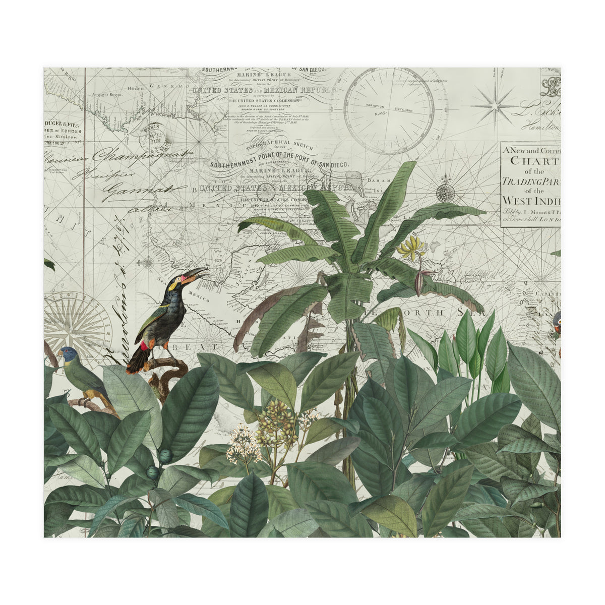 Explore The New World (Print Only)