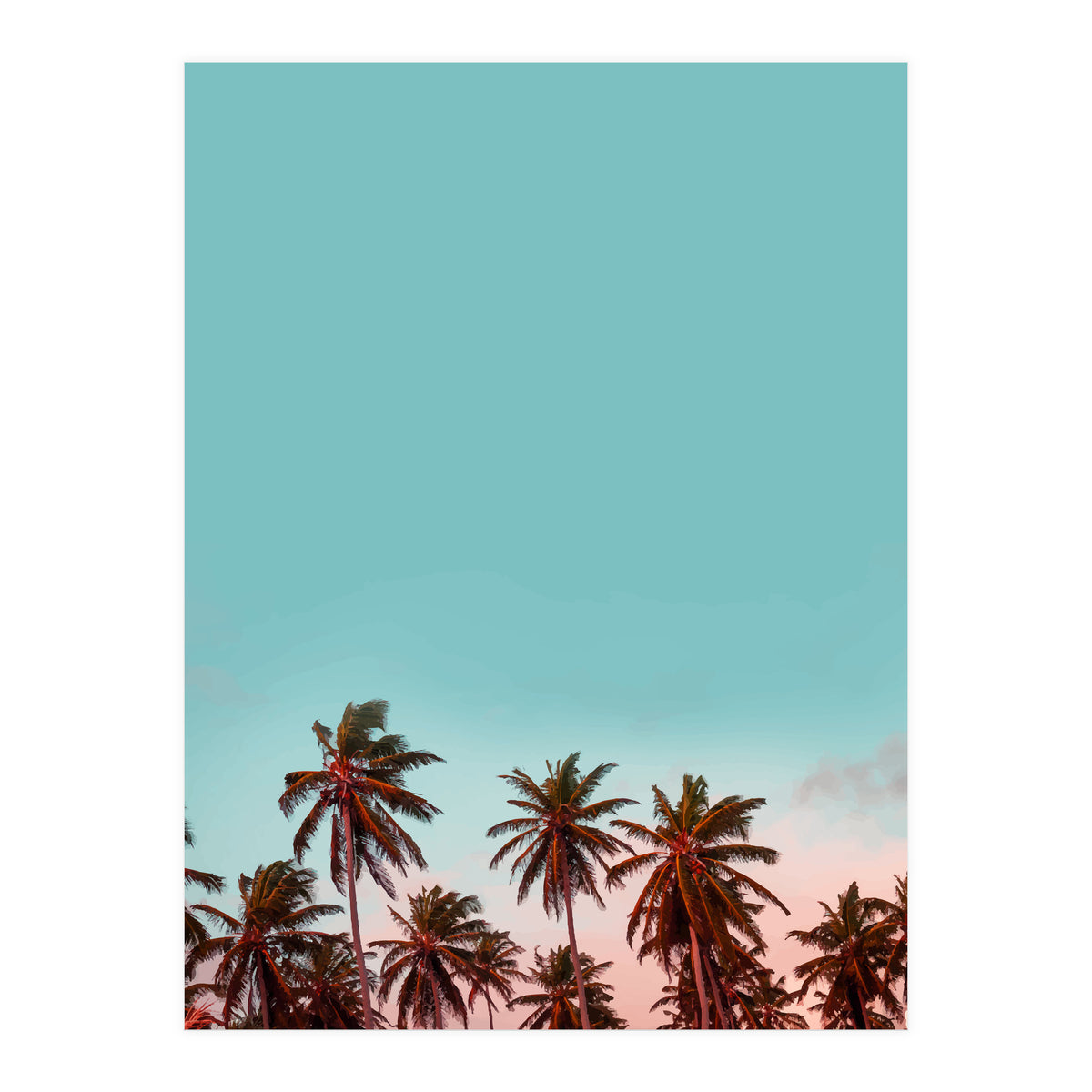 California (Print Only)