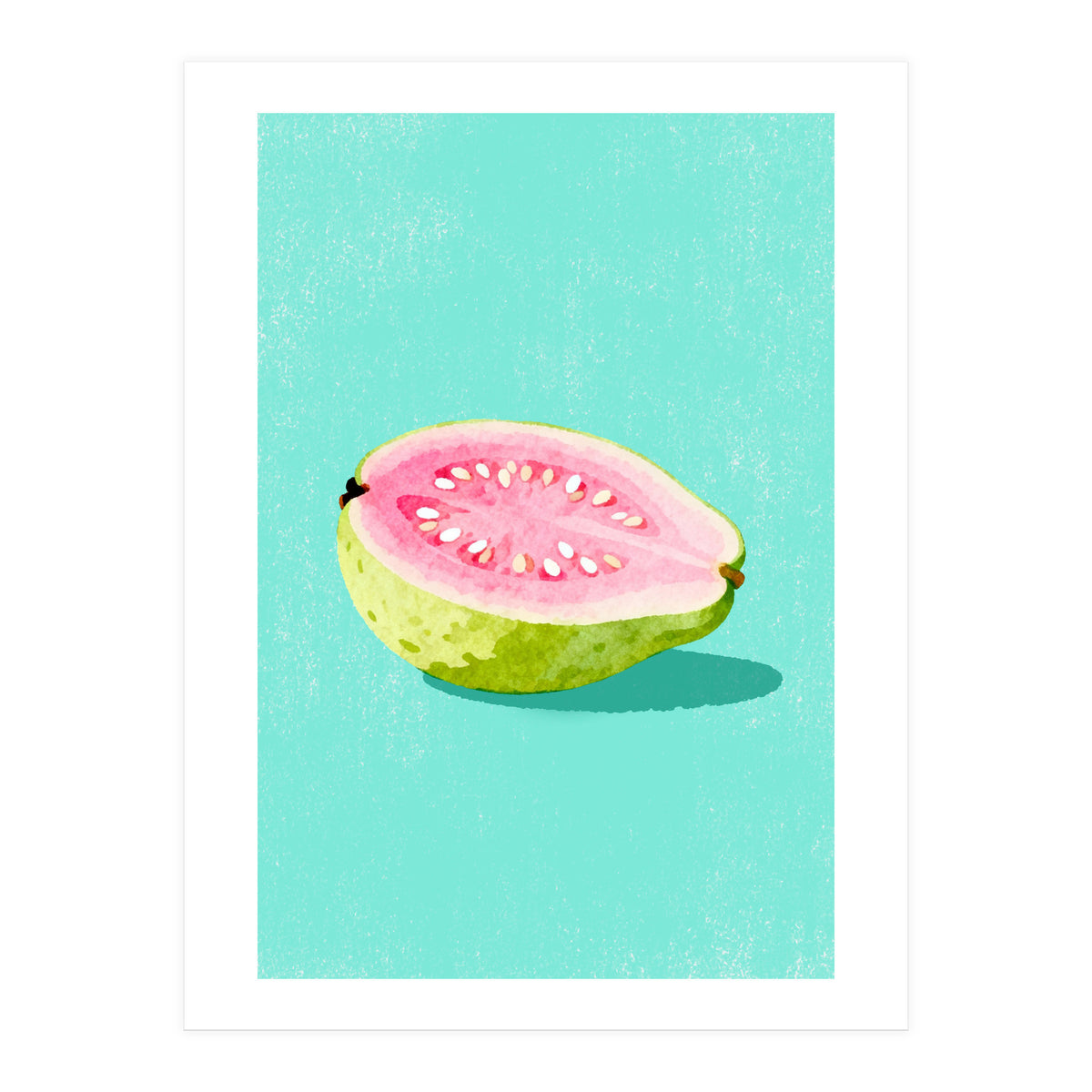 Guava Fruit Illustration (Print Only)