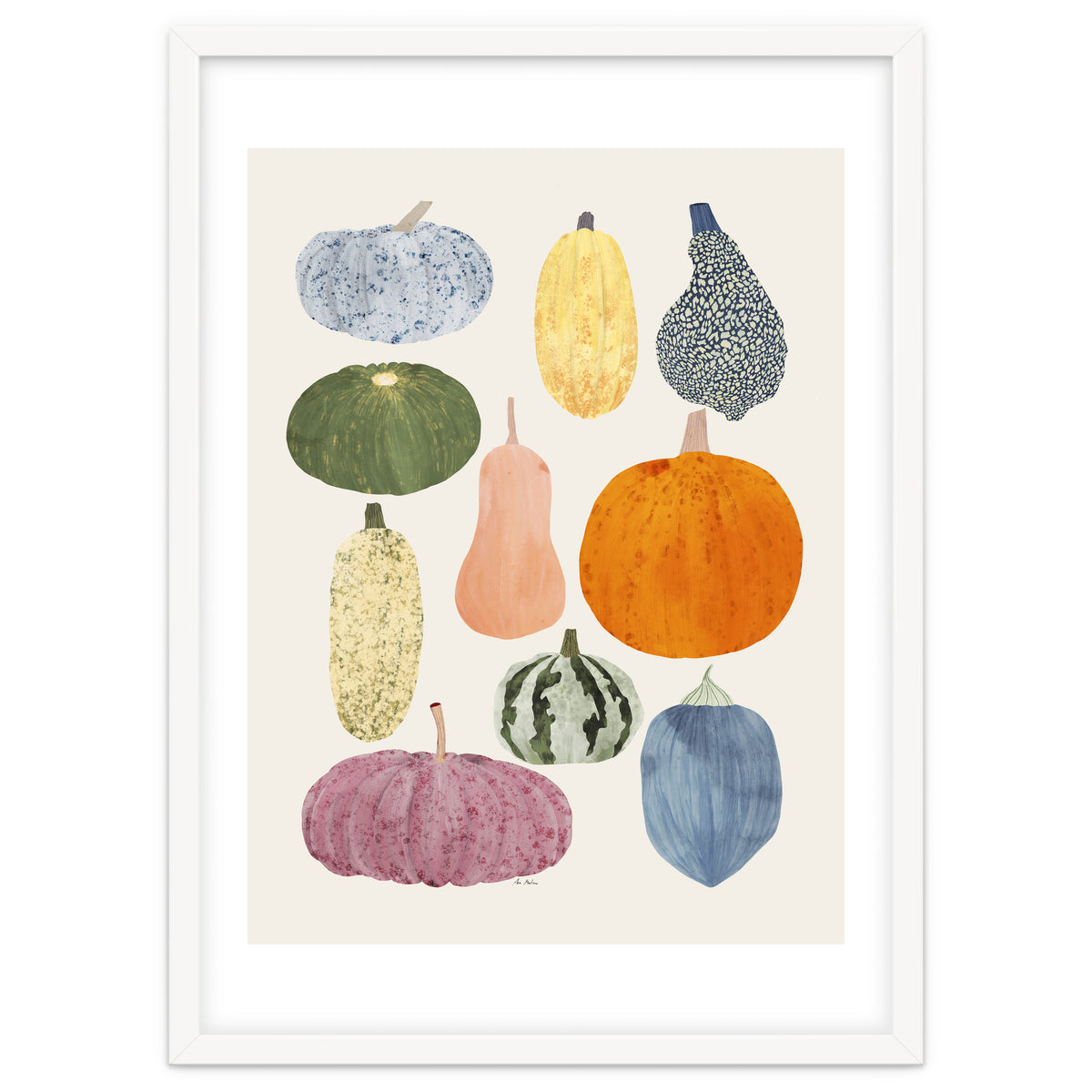 Still Life Of Pumpkins