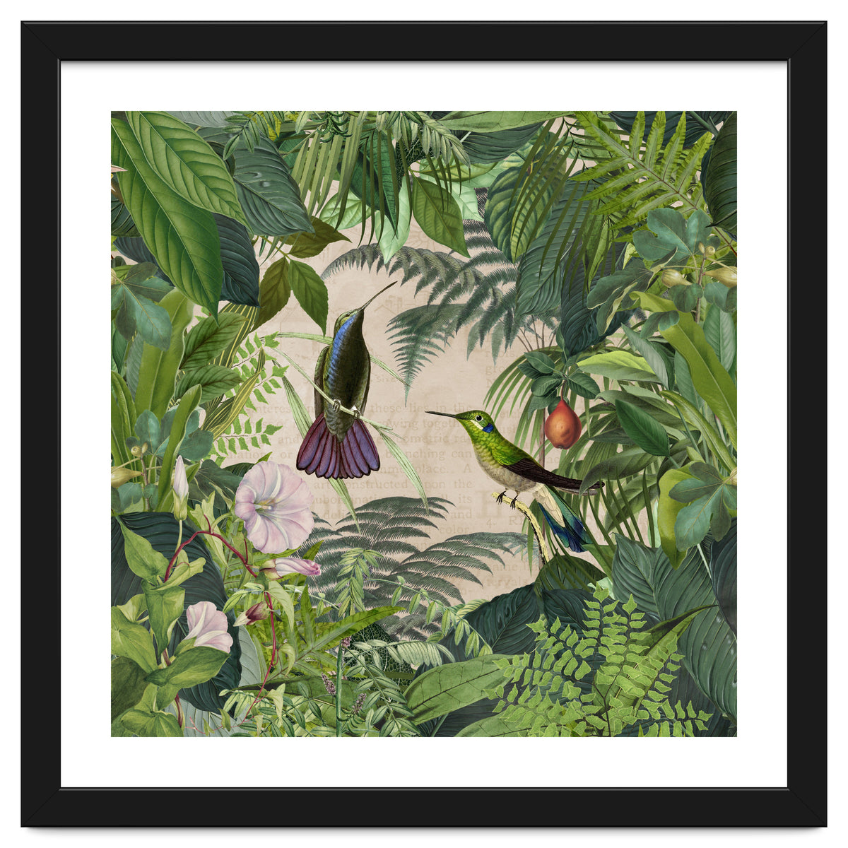 Tropical Hummingbird Jungle