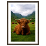 Highland Cow in Scotland thumbnail