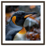 King Penguin In Rain With Water Drops thumbnail