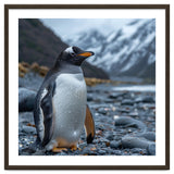 Gentoo Penguin Standing On A Rocky Shore thumbnail