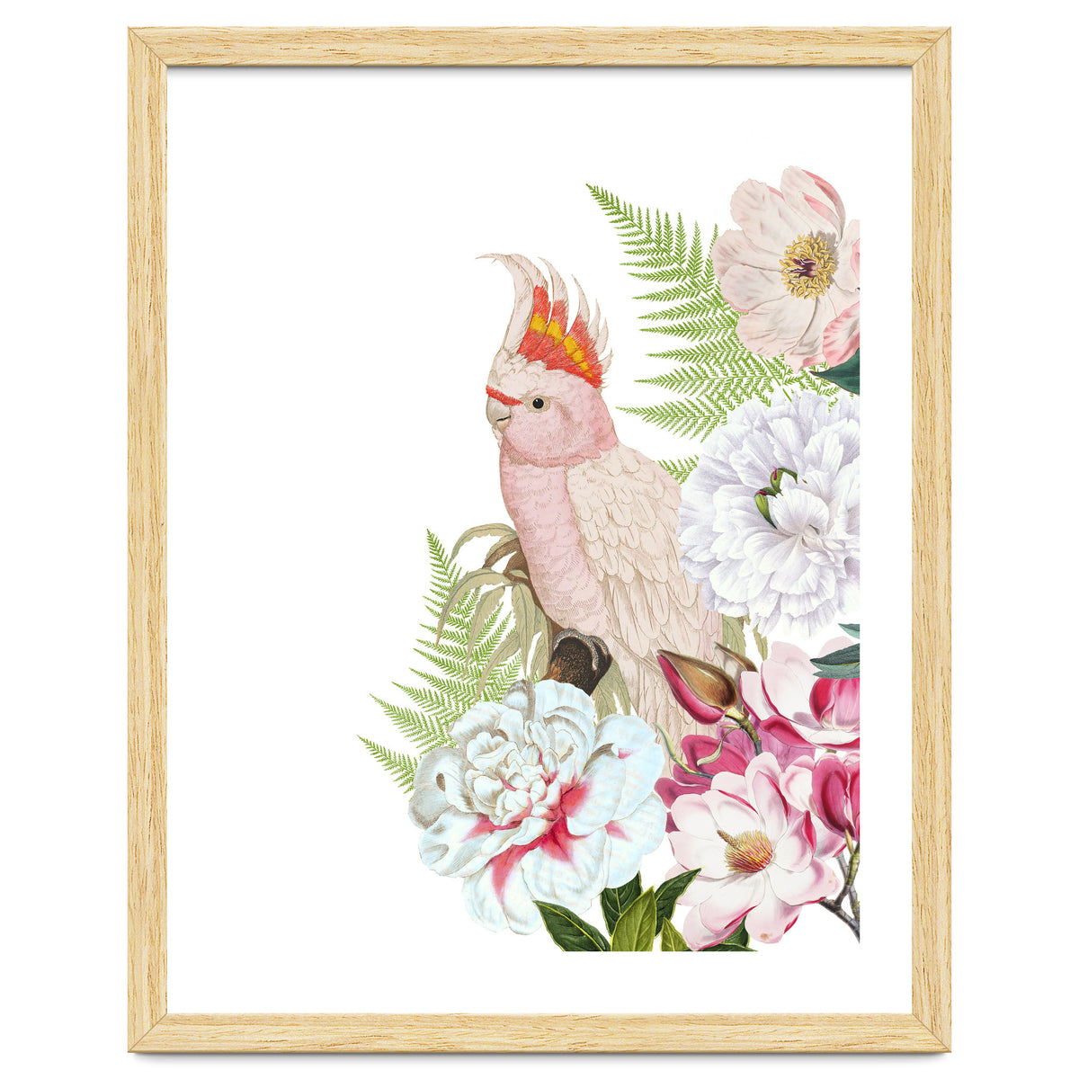 Cockatoo in Flower Jungle