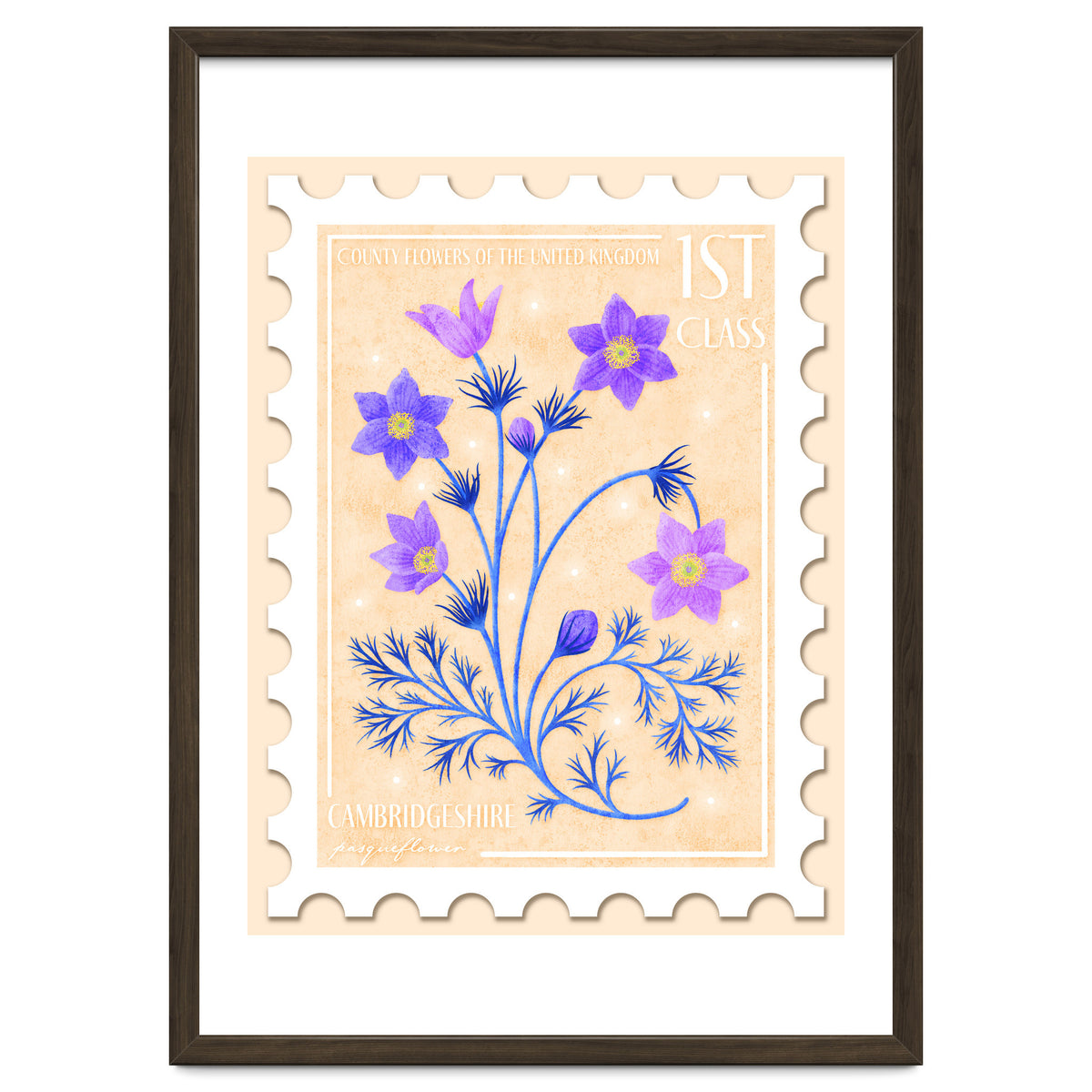 The Cambridgeshire Pasqueflower Postage Stamp