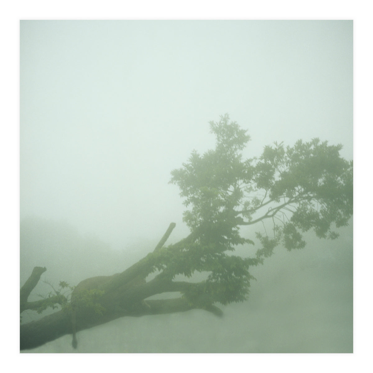 Silence of breath - 07 (Print Only)